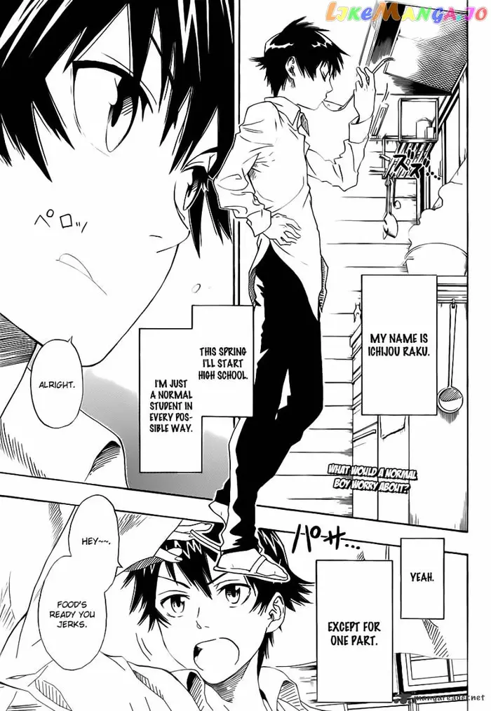 Nisekoi Chapter 1 image 04_optimized
